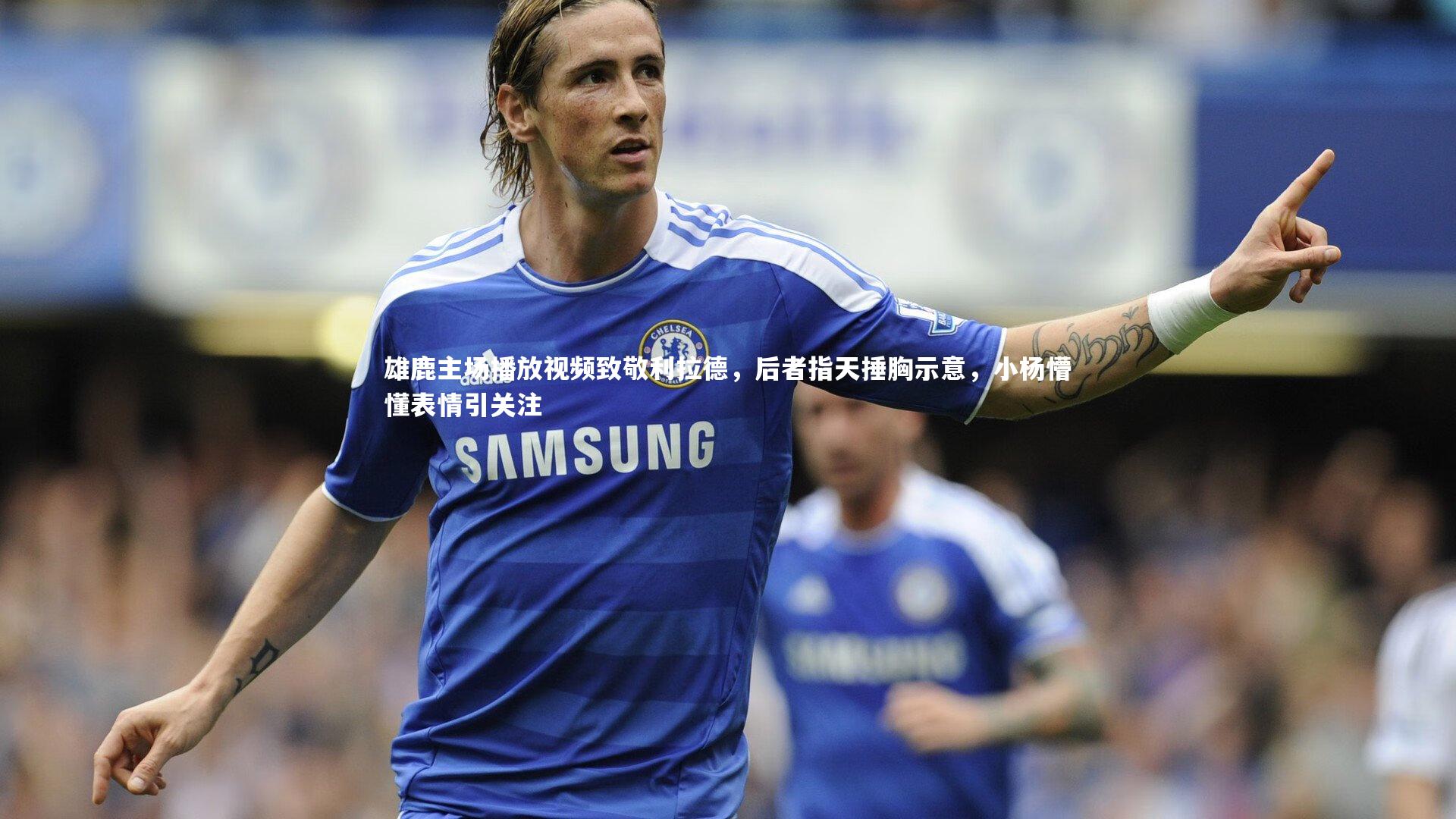 雄鹿主场播放视频致敬利拉德，后者指天捶胸示意，小杨懵懂表情引关注