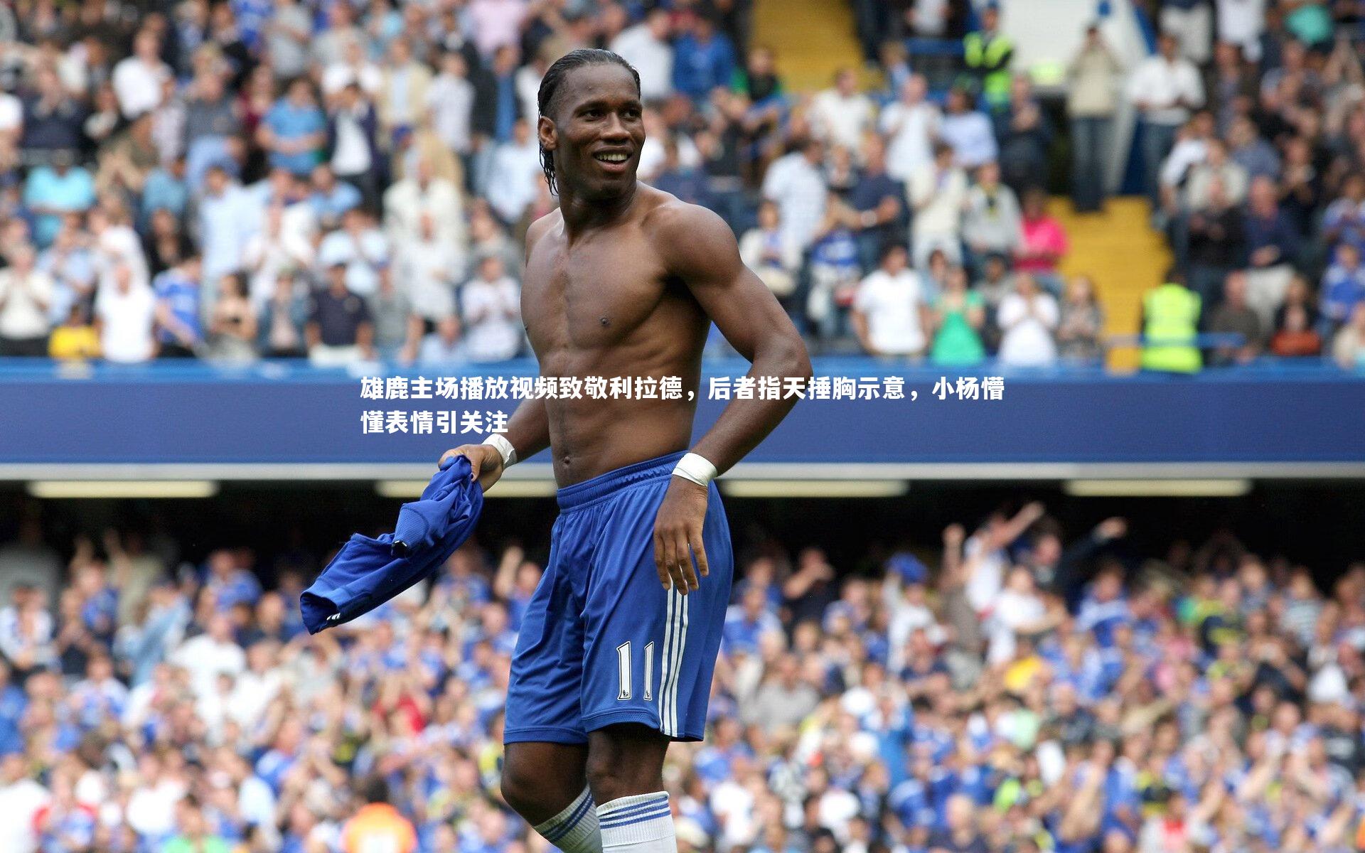 雄鹿主场播放视频致敬利拉德，后者指天捶胸示意，小杨懵懂表情引关注